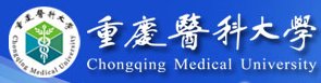 综合实力名列前茅