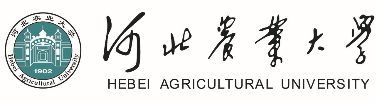 世界杯（中国）一站式服务官网官方网站