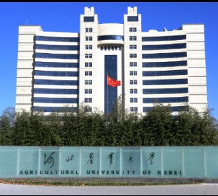 点击率排名行业前列