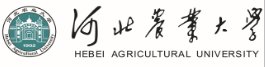 世界杯（中国）一站式服务官网官方网站