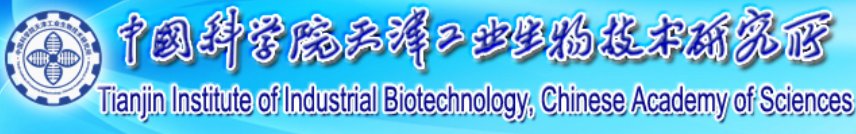 点击率排名行业前列