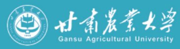 京公网安备1101050205494