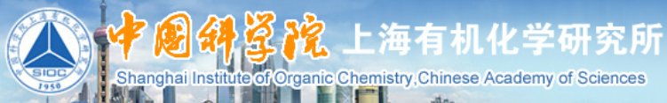综合实力名列前茅
