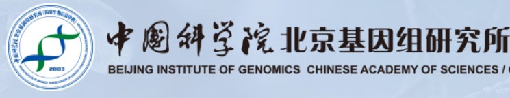 特别推荐查看更多
