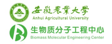 综合实力名列前茅