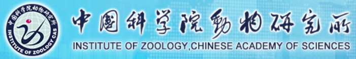 点击率排名行业前列