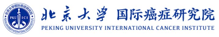 京公网安备1101050205494